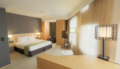 Suite, 1 cama de matrimonio grande