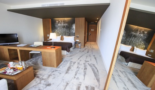Standard Double Room Single Use acceso al Spa