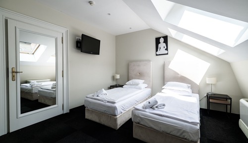 Habitación Deluxe con 2 camas individuales