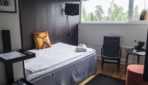 Habitación estándar con 1 cama doble o 2 individuales, 1 habitación