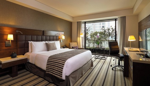 Habitación Deluxe, 1 cama de matrimonio grande, no fumadores, vistas a la ciudad