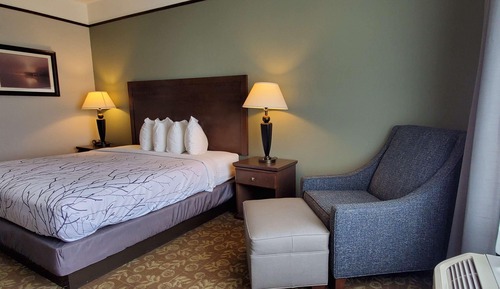 Habitación estándar, 1 cama de matrimonio grande, no fumadores, frigorífico y microondas