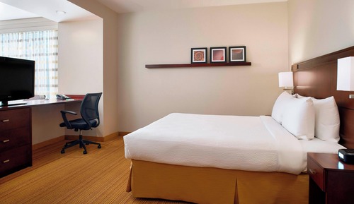 Suite, 1 cama de matrimonio grande con sofá cama