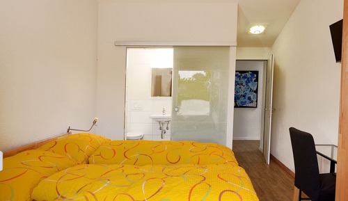 Habitación doble de uso individual, 1 cama doble, accesible para personas con discapacidad