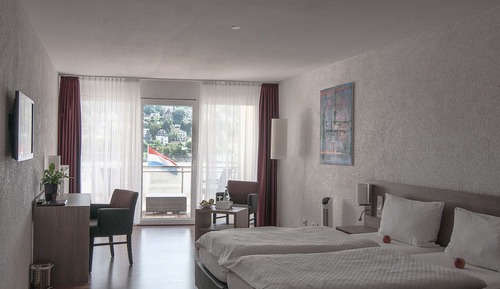 Habitación doble superior (Rhine River view, terrace)