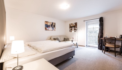Habitación Premium con 2 camas individuales, 1 habitación, balcón, vistas al jardín