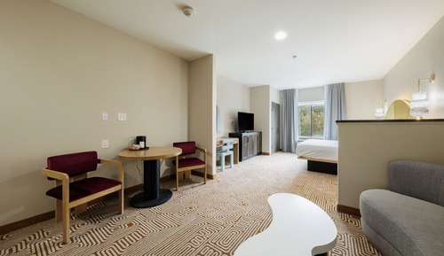 Habitación Premium, 1 cama de matrimonio grande