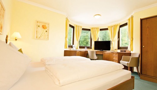 Habitación doble, vistas a la montaña (Schober)