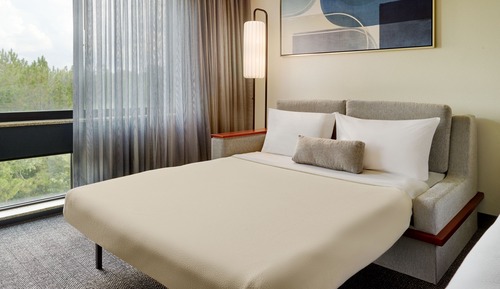 Estudio básico, 1 cama de matrimonio grande con sofá cama (Mobility/Hearing Accessible, Tub)