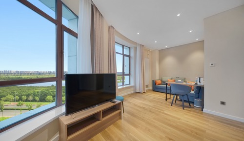 Habitación estándar, 1 cama de matrimonio grande, vistas al río