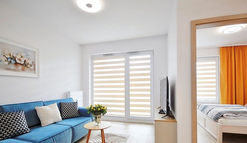 Apartamento Deluxe, 1 cama de matrimonio con sofá cama, acceso a la piscina, vistas al parque