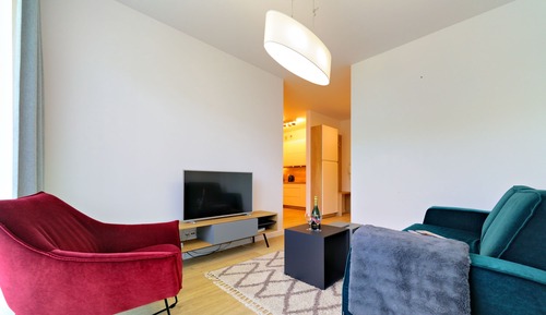 Apartamento Deluxe, 1 cama de matrimonio con sofá cama, acceso a la piscina, vistas al parque