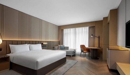 Habitación ejecutiva, 1 cama doble