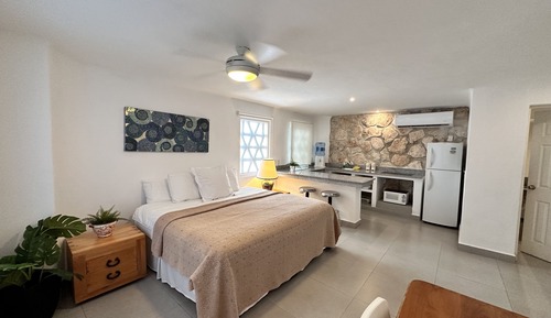 Suite estudio Confort, 1 cama de matrimonio grande, cocina