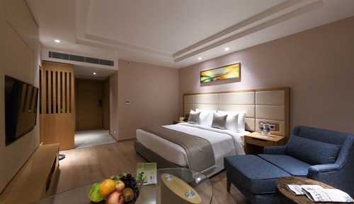 Habitación Premium