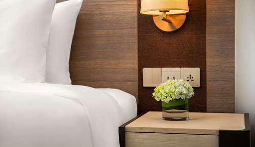 Habitación Business, vistas al jardín