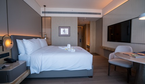 Habitación ejecutiva, 1 cama de matrimonio grande
