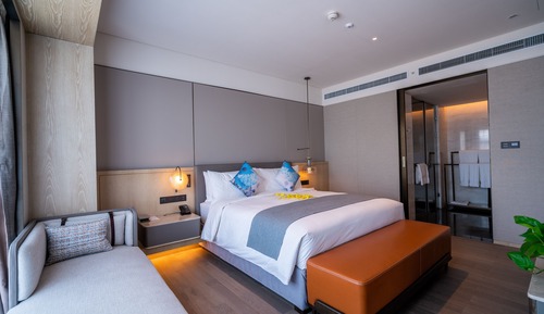 Suite Deluxe, 1 habitación