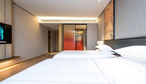 Habitación Deluxe con 2 camas individuales