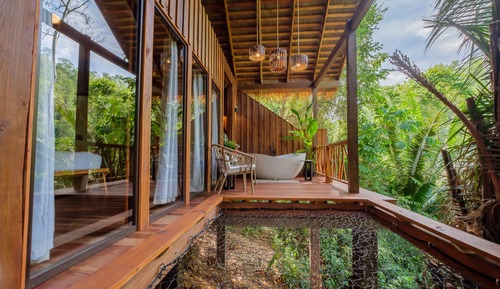 Casa en un árbol Signature