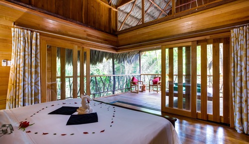 Casa en un árbol Premier