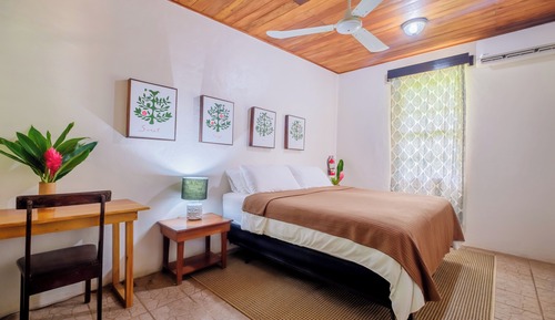 Villa junior, 1 cama de matrimonio grande, terraza, vistas al jardín