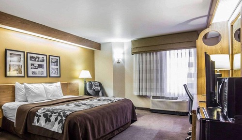 Habitación estándar, 1 cama de matrimonio grande, no fumadores