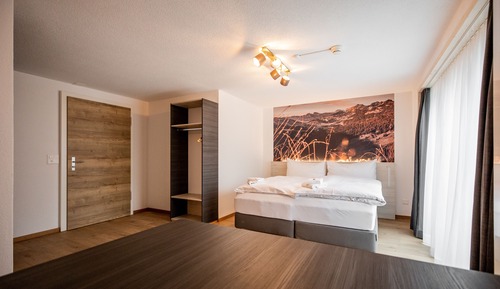 Habitación Deluxe con 1 cama doble o 2 individuales, varias camas
