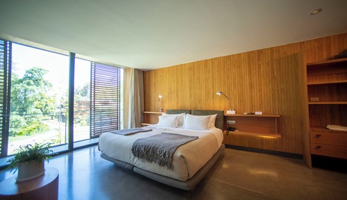 Suite Premium, vistas al parque