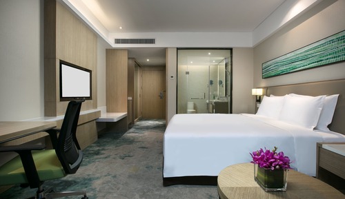 Habitación estándar, 1 cama de matrimonio grande, accesible para personas con discapacidad