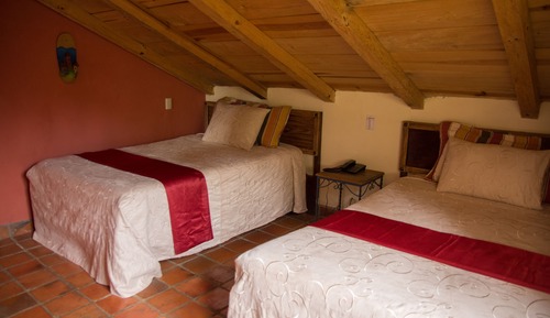 Suite, vistas al jardín