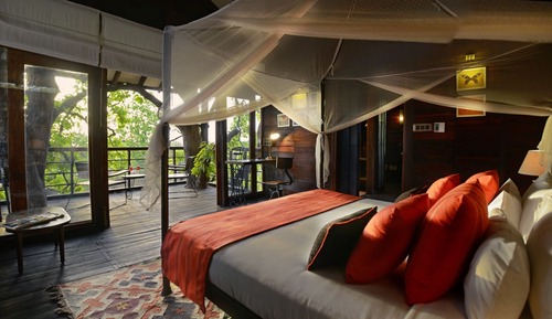 Casa de lujo en un árbol, 1 cama de matrimonio grande, no fumadores