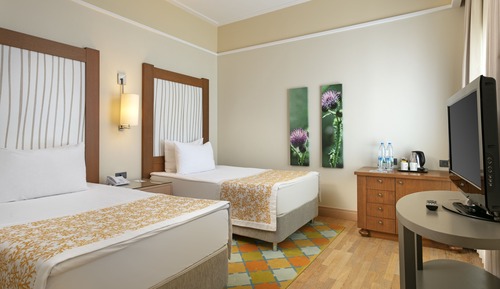 Begonville Suite