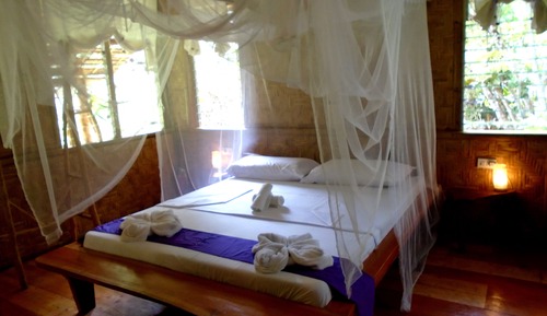 Suite, 1 cama de matrimonio (Violet)