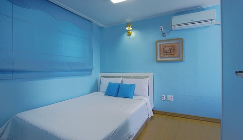 Party Blue