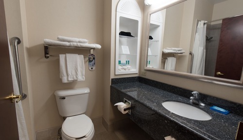 Habitación estándar, 1 cama de matrimonio grande (Communication Accessible)