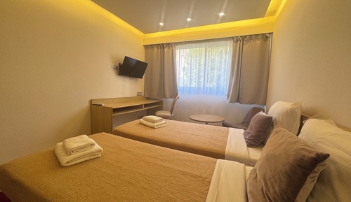 Habitación clásica con 2 camas individuales
