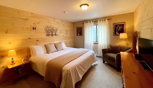 Habitación estándar, 1 cama de matrimonio grande (102)
