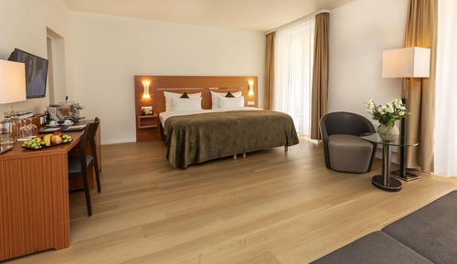Suite junior, vistas al lago