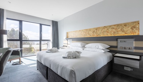 Habitación Deluxe, 1 cama de matrimonio grande