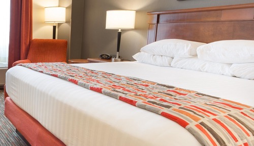 Habitación Deluxe, 1 cama de matrimonio grande, frigorífico y microondas