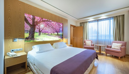 Habitación Doble con Aparcamiento incluido