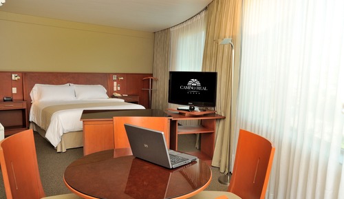 Suite, 1 cama de matrimonio grande