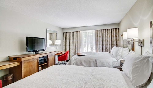 Habitación ejecutiva, 2 camas de matrimonio, frigorífico y microondas (Sofa Bed)