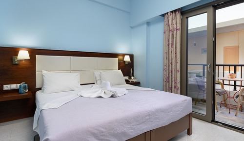 Habitación con 1 cama doble o 2 individuales, vistas al jardín
