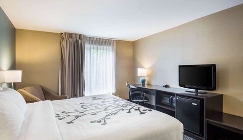 Habitación estándar, 1 cama de matrimonio grande, accesible para personas con discapacidad