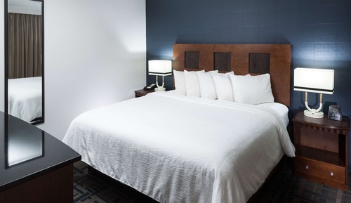 Suite, 1 cama de matrimonio grande, accesible para personas con discapacidad (Hearing)
