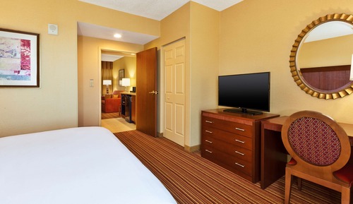 Suite Premium, 1 cama de matrimonio grande (Wellness, In-room air purification)