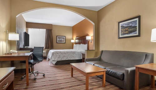 Suite, 1 cama de matrimonio grande, no fumadores, frigorífico y microondas