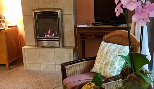Habitación estándar, 1 cama de matrimonio grande, no fumadores, chimenea (Haiku Garden)
